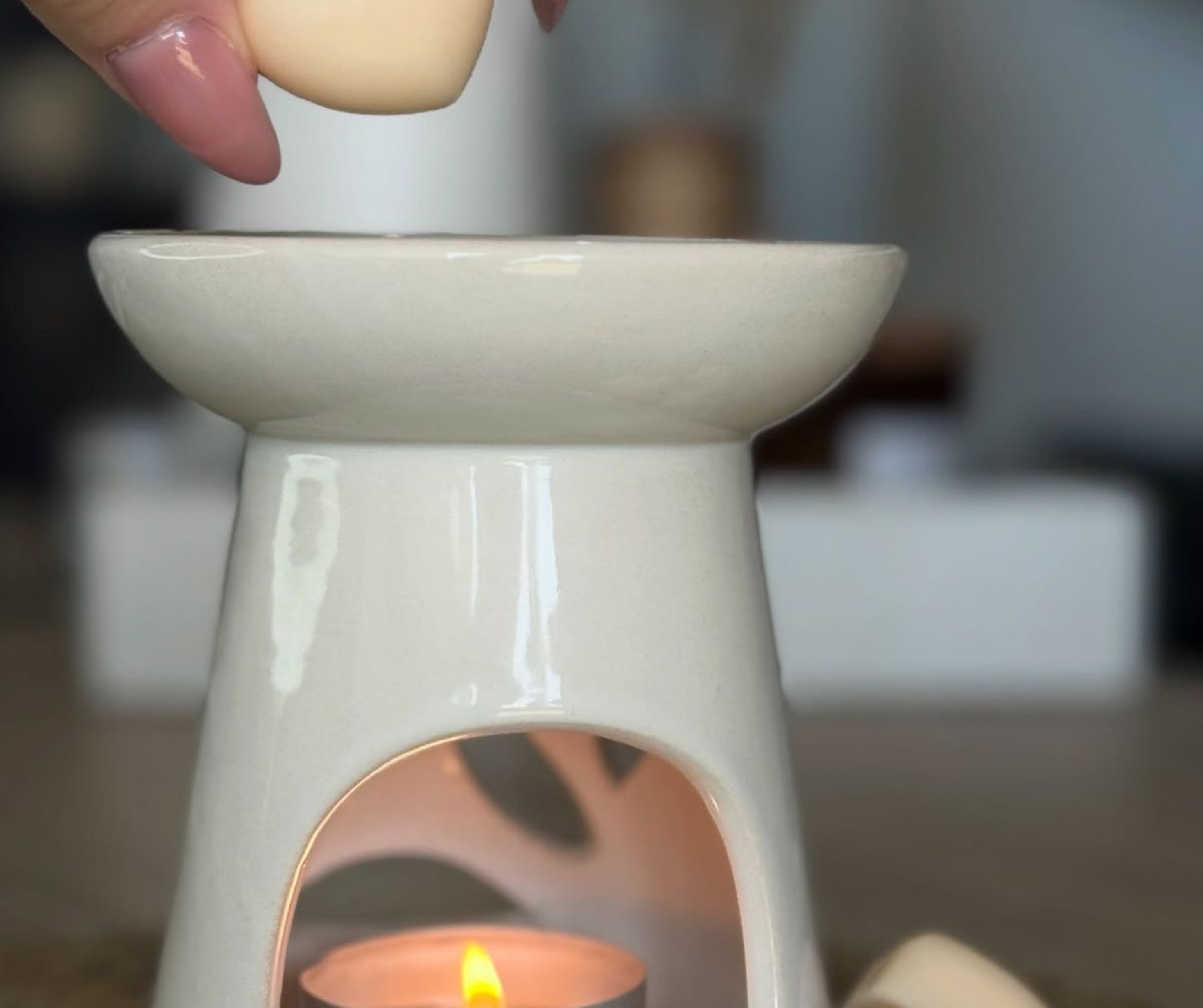 Wax Melts